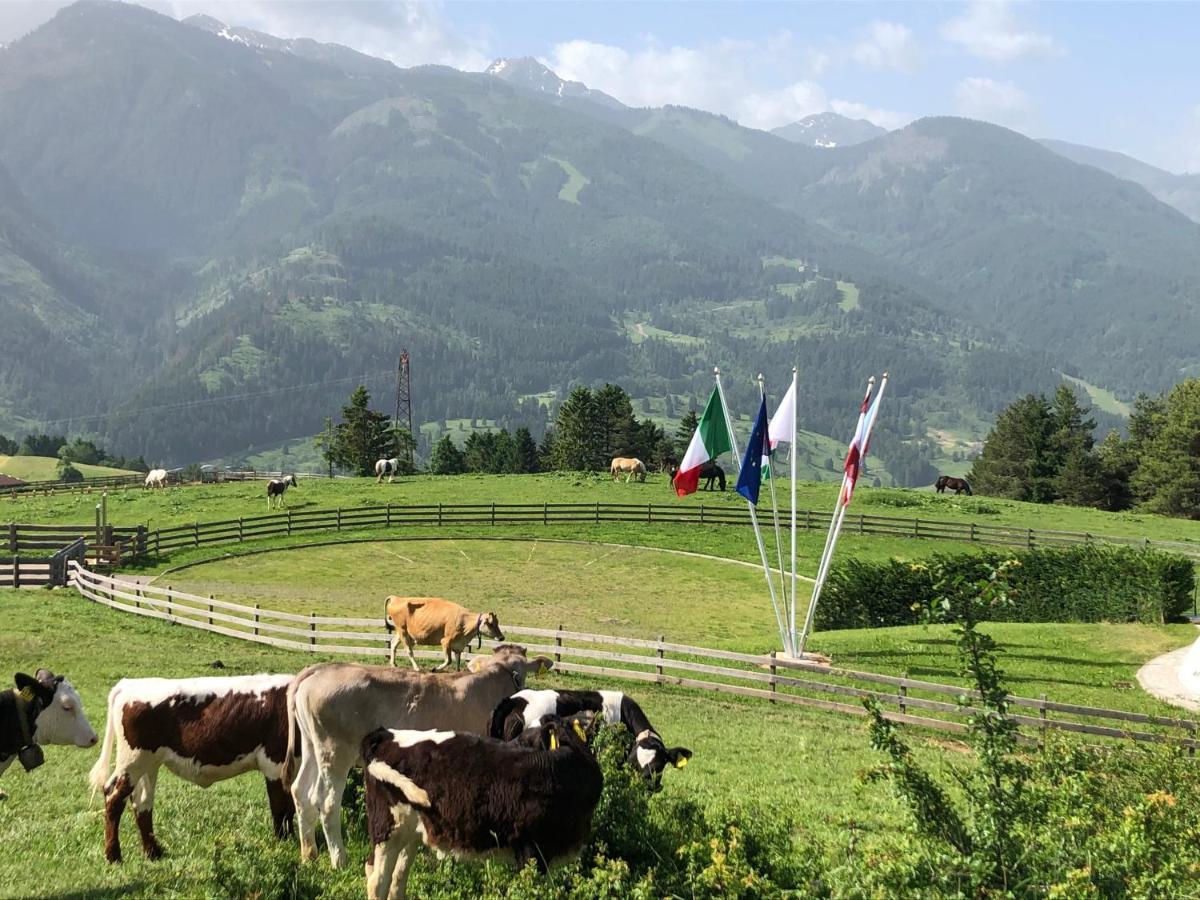B&B Le Stagioni Di Stava Tesero Exterior foto